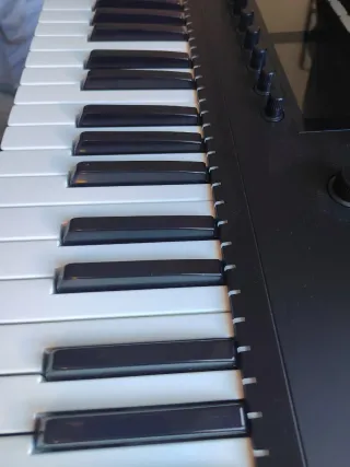 Teclado Native Instruments Komplete