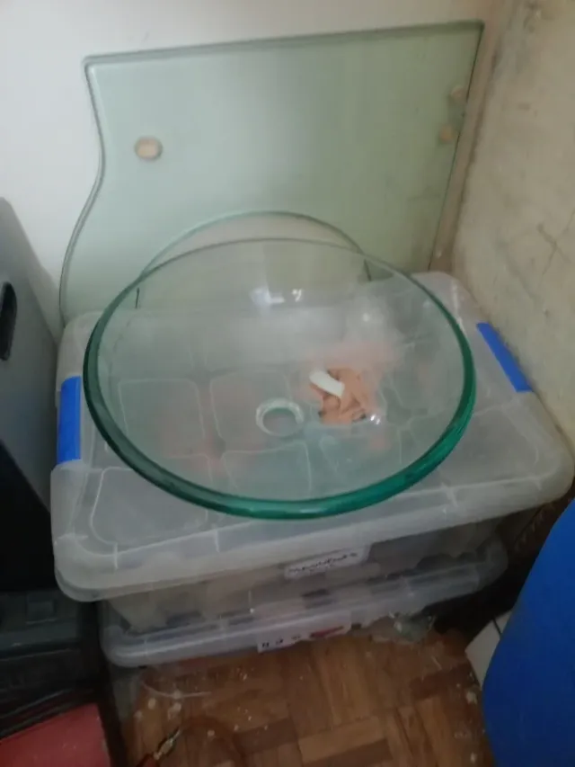 Lavabo de cristal con diseño curvo