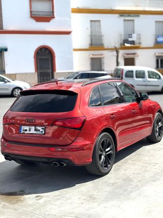 Audi SQ5 2013