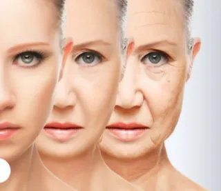 Aparato multifunción 5 en 1 analizador piel