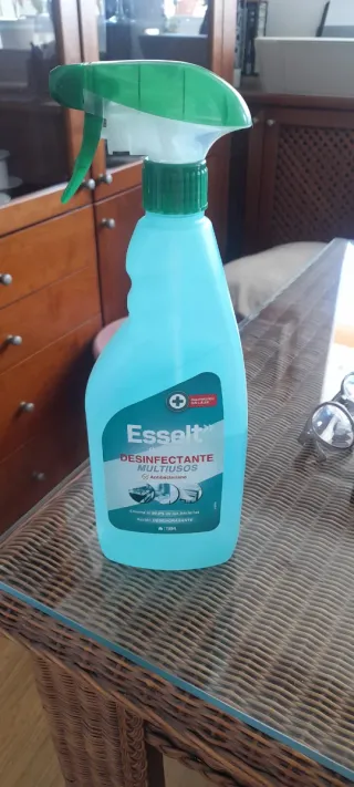 Señora para limpieza del hogar y plancha