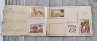 Álbum de cromos Historia Natural