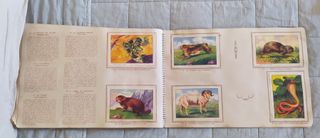 Álbum de cromos Historia Natural