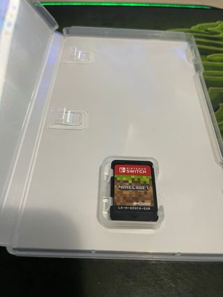 Minecraft Nintendo Switch