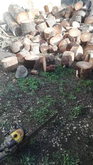 Leña de pino en rodajas