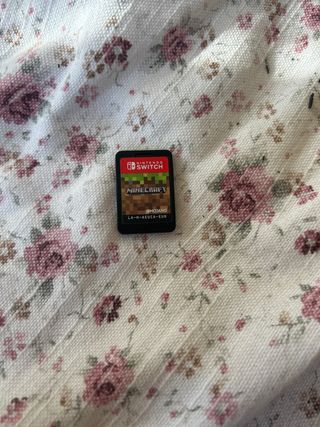 Minecraft Nintendo Switch