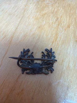 Pin Veterinaria militar Alfonso XIII