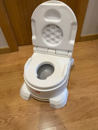 Orinal 4 en 1 Fisher-Price Platinum