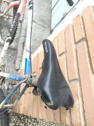 Bicicleta Orbea Peliser