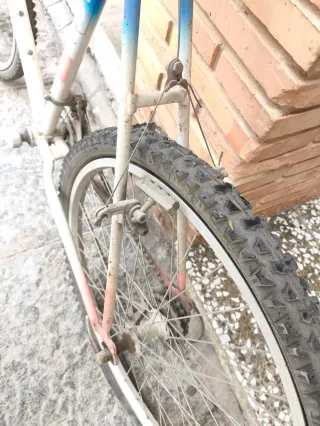 Bicicleta Orbea Peliser