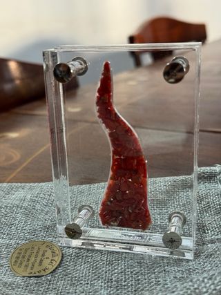 Decoración Coral Rojo Natural