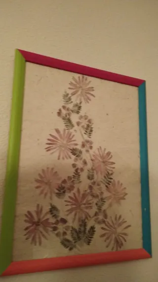 Cuadros artesanales flores secas