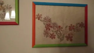 Cuadros artesanales flores secas