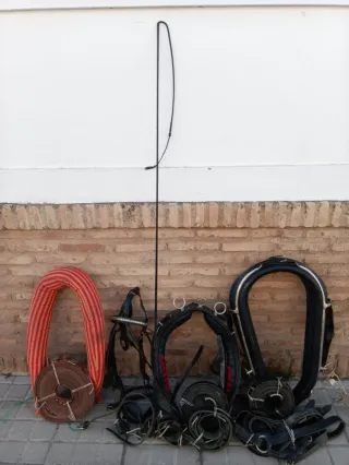 Arneses para caballos
