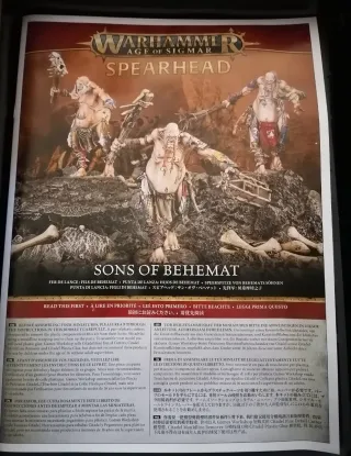 Warhammer Age of Sigmar Spearhead Sons of Behemat