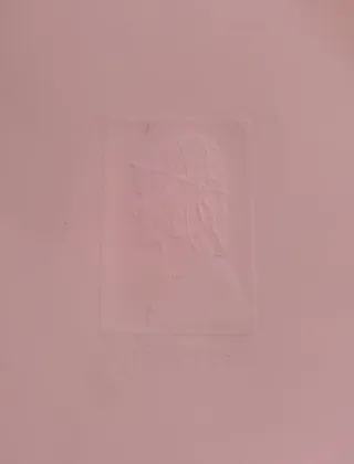 Vergine col Bambino su Seta