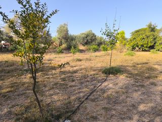 Terreno urbanizable en Mairena del aljarafe