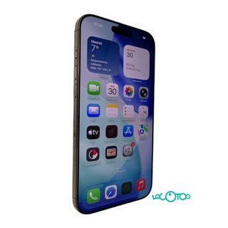 iPhone 16 Pro Max 256 GB
