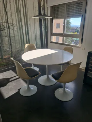 Silla de diseño blanco y negros los asientos.