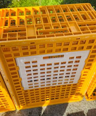 Transportín para aves