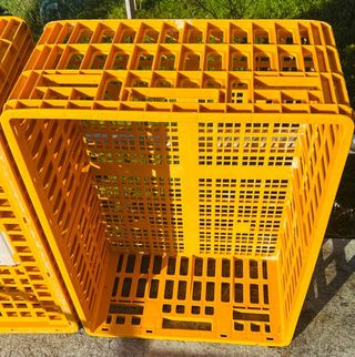 Transportín para aves