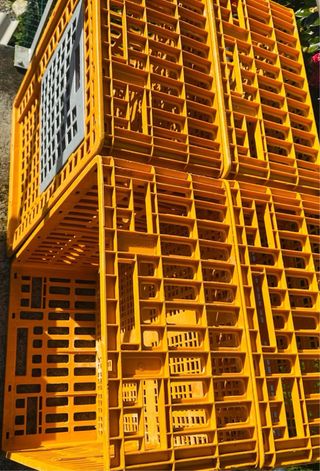 Transportín para aves