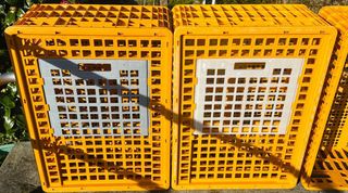 Transportín para aves