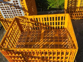 Transportín para aves