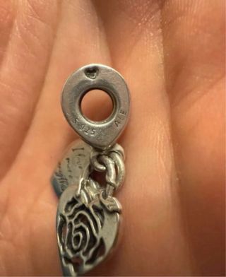 Charm Pandora + soporte para gafas