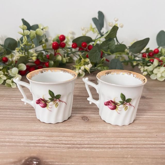 Pack 2 Tazas Porcelana Alemana Rheinpfalz