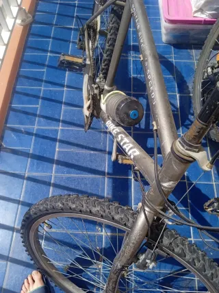 Bicicleta de montaña