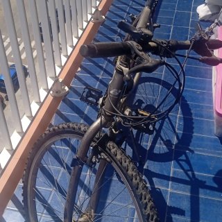 Bicicleta de montaña
