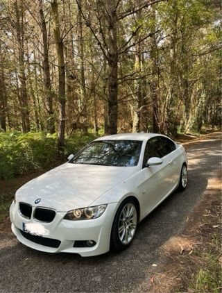 BMW Serie 3 2010
