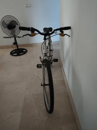 Bicicleta de adulto blanca