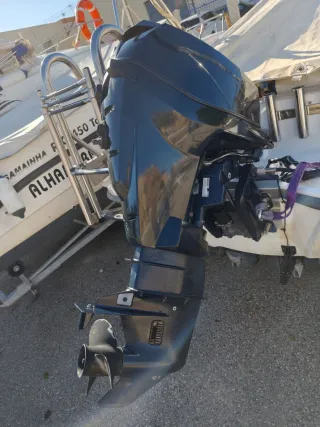 Barca pesca open 5m con motor y remolque