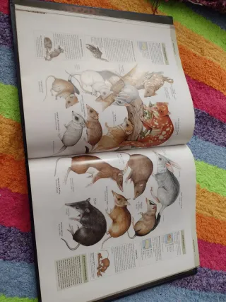 Mamíferos, enciclopedia