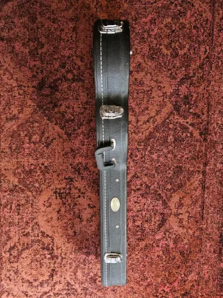 Custodia rigida Rocktile Chitarra double cut