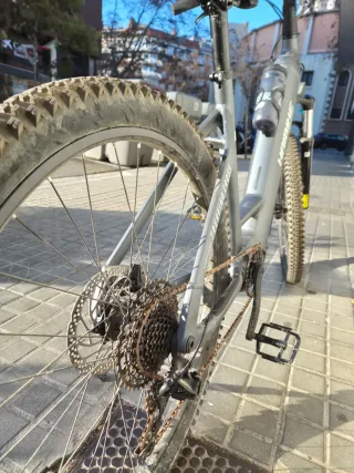 Bicicleta Eléctrica Haibike Trekking 4 Low 2024