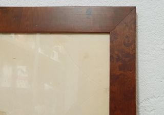 quadro fiori secchi su pergamena cornice cm 85x107