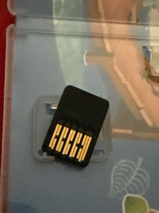 Animal Crossing: New Horizons per Nintendo Switch