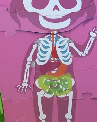 Juego El Cuerpo Humano Clementoni 4+