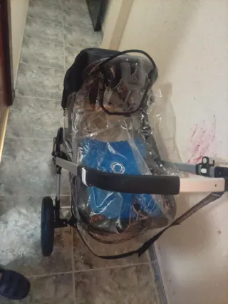 Carrito Bugaboo Camaleón