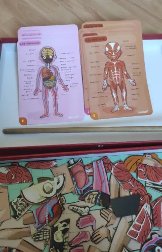 Janod El Cuerpo Humano Magnético