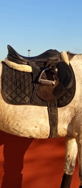 Silla de montar Ontura negra y marrón