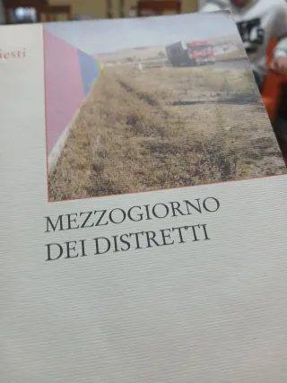 Saggi Turismo & Mezzogiorno, MEZZOGIORNO Distretti