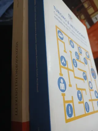 Saggi Turismo & Mezzogiorno, MEZZOGIORNO Distretti