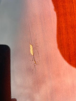 Guitarra Telecaster muy Mejorada