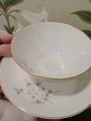 Juego 6 Tazas y Platos Porcelana Dorada