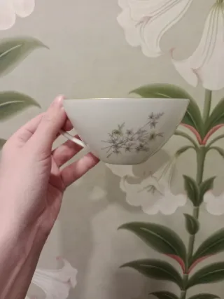 Juego 6 Tazas y Platos Porcelana Dorada