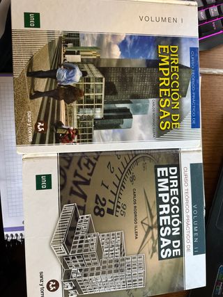 CURSO TEORICO PRACTICO DIRECCION DE EMPRESAS UNED